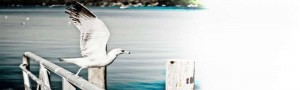 ninigret marine hardware for northeast